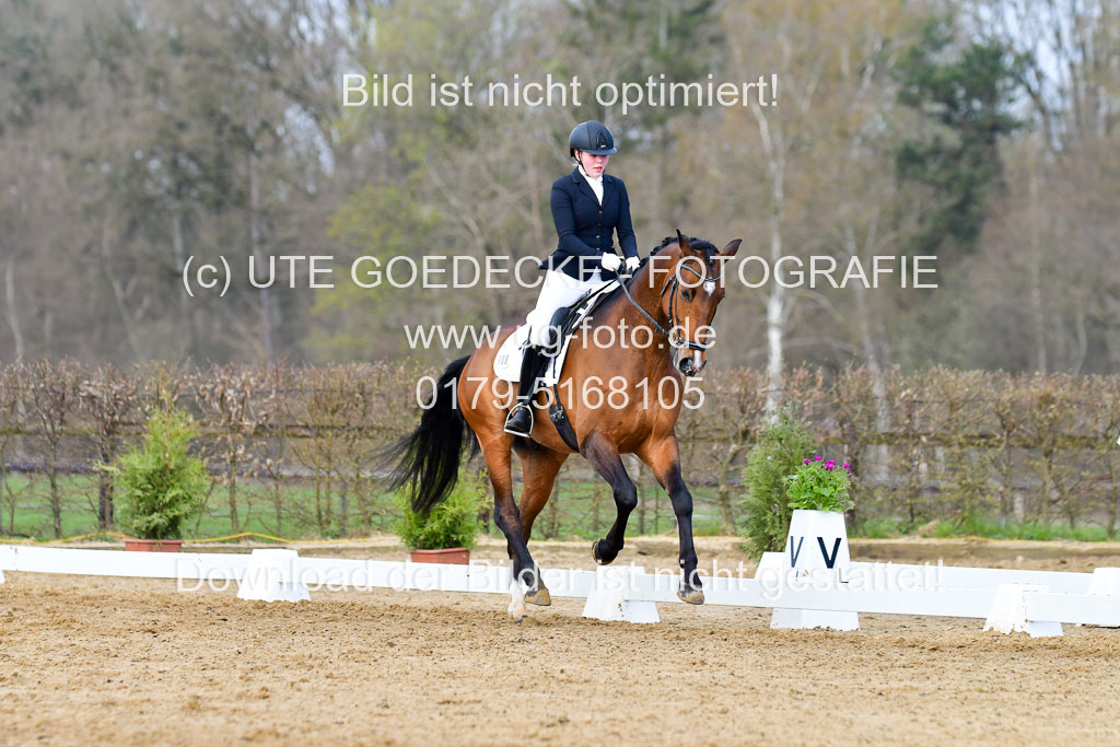 Reitsportzentrum Bremervörde | 10421 Dressur L Tr_148