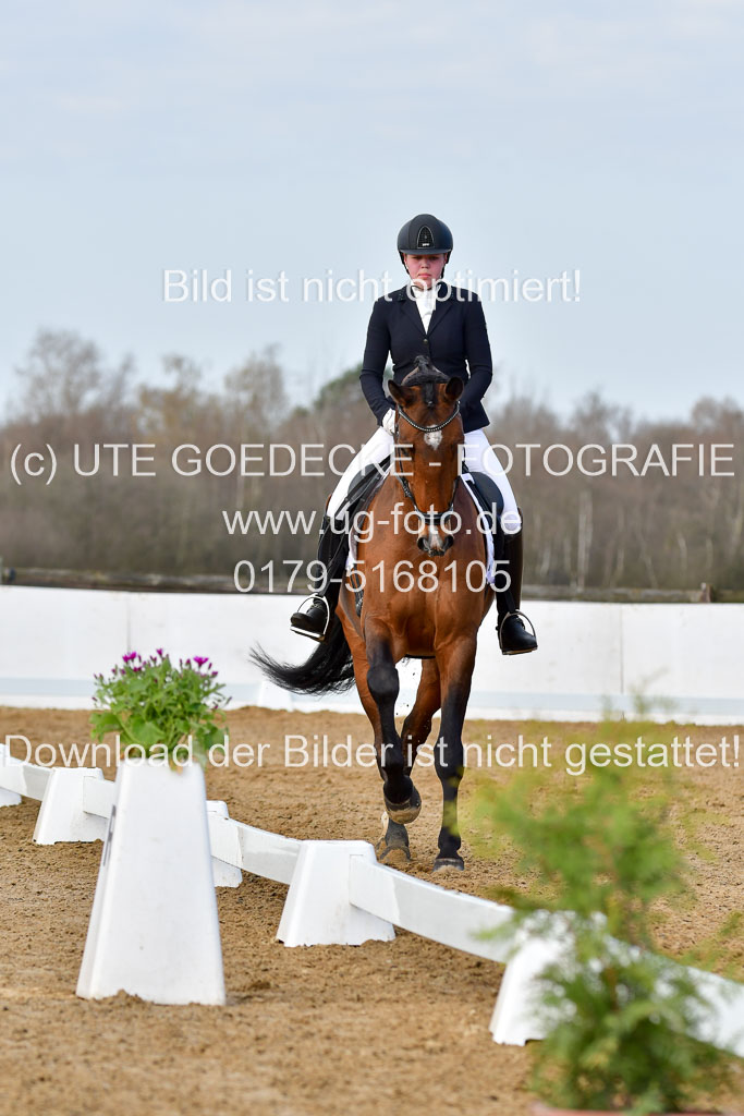 Reitsportzentrum Bremervörde | 10421 Dressur L Tr_151