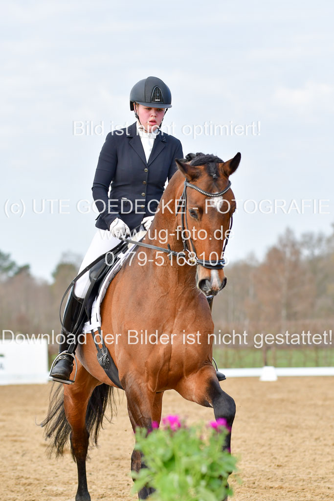 Reitsportzentrum Bremervörde | 10421 Dressur L Tr_152