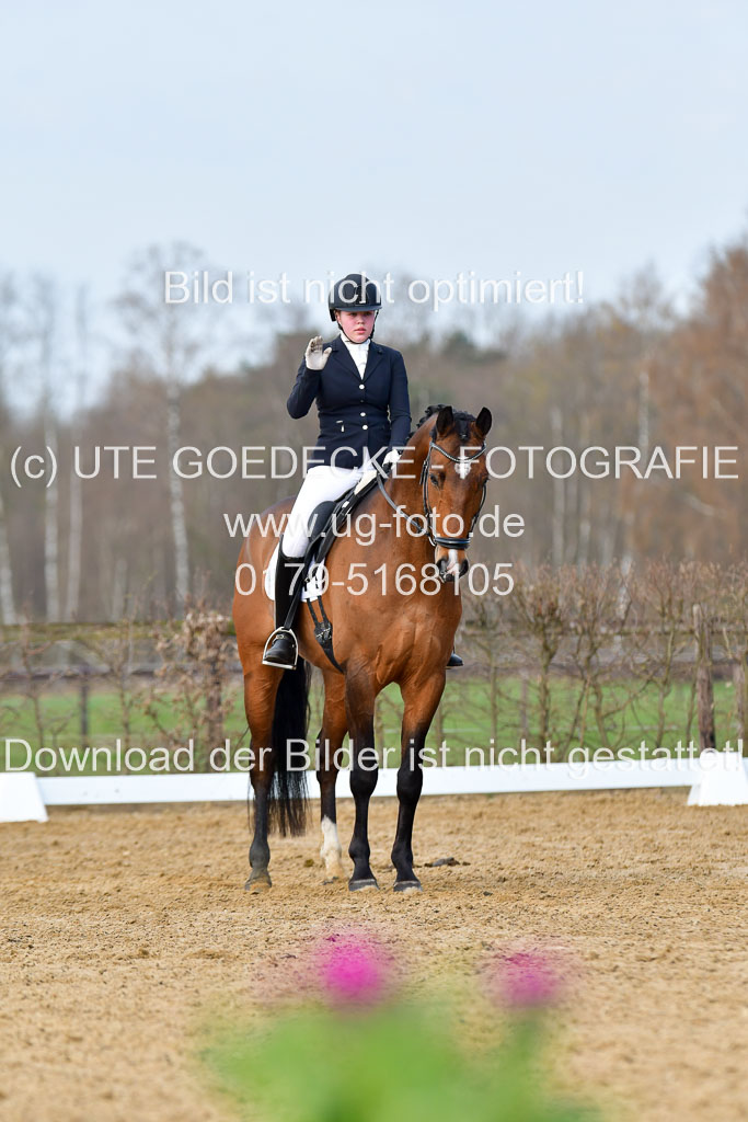 Reitsportzentrum Bremervörde | 10421 Dressur L Tr_153