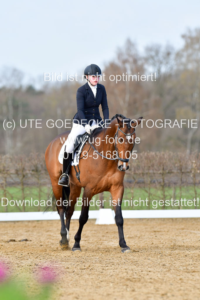 Reitsportzentrum Bremervörde | 10421 Dressur L Tr_154