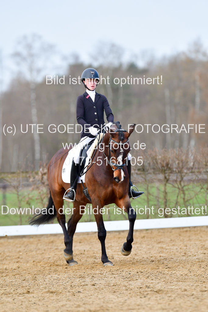 Reitsportzentrum Bremervörde | 10421 Dressur L Tr_155