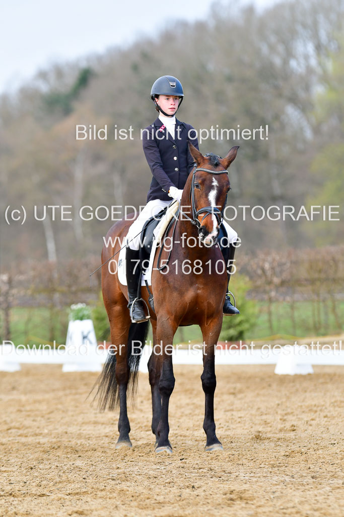 Reitsportzentrum Bremervörde | 10421 Dressur L Tr_156