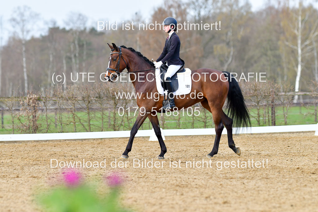 Reitsportzentrum Bremervörde | 10421 Dressur L Tr_158 