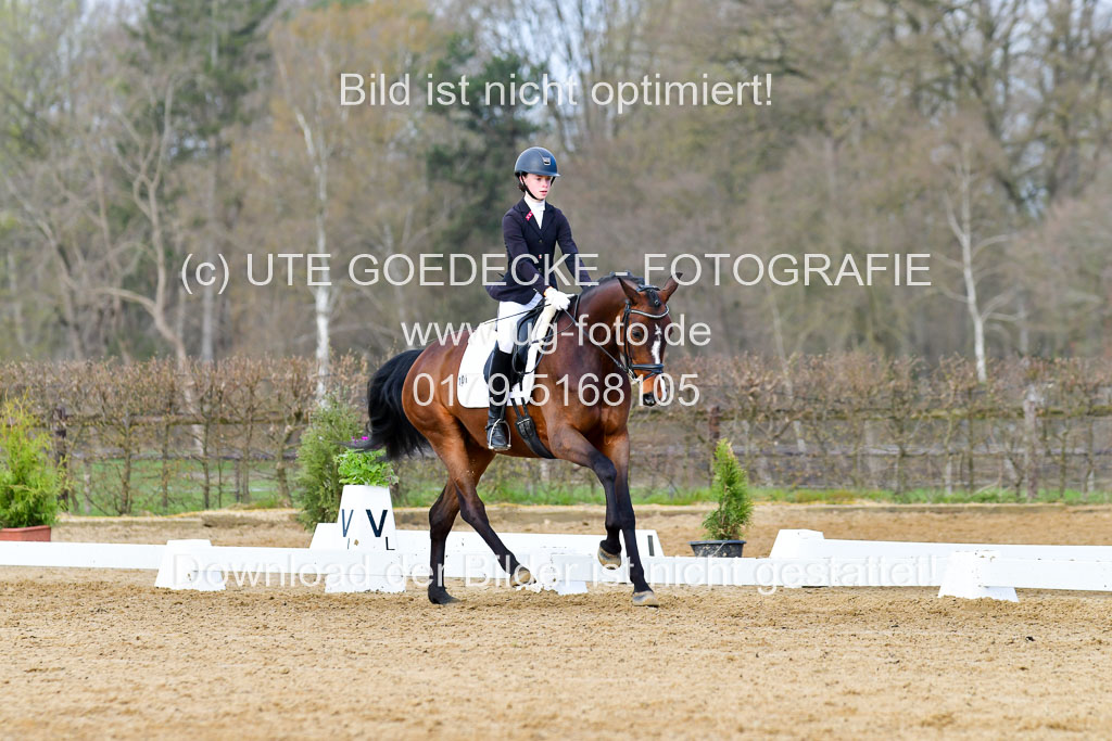 Reitsportzentrum Bremervörde | 10421 Dressur L Tr_163