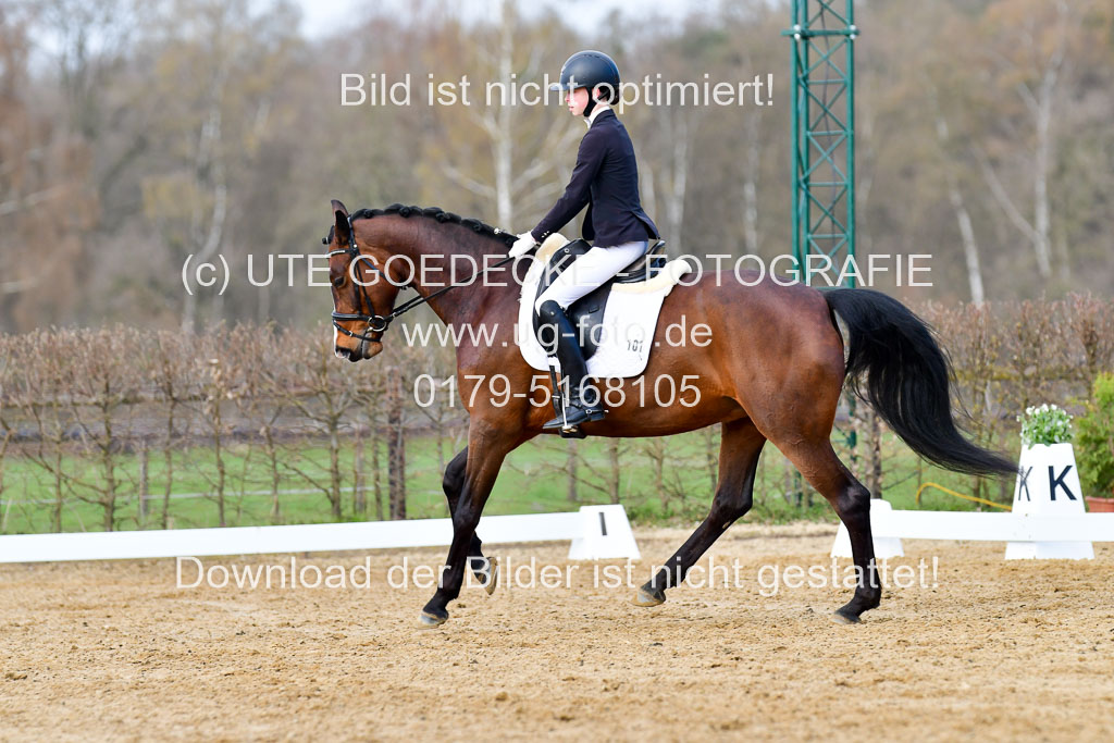 Reitsportzentrum Bremervörde | 10421 Dressur L Tr_164 