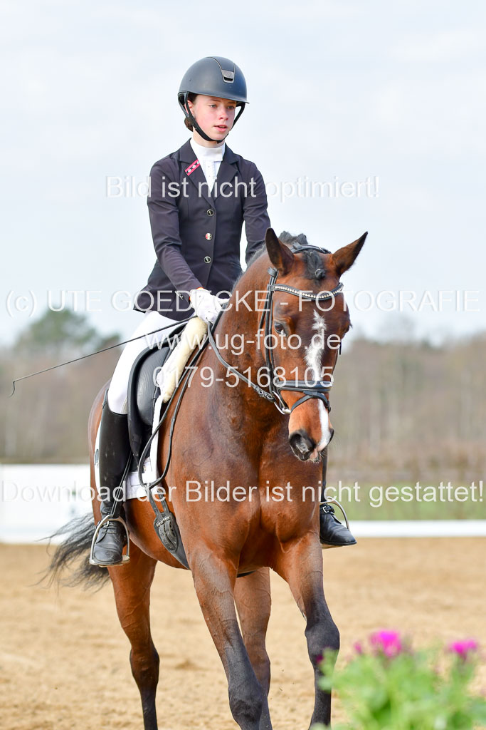 Reitsportzentrum Bremervörde | 10421 Dressur L Tr_165 