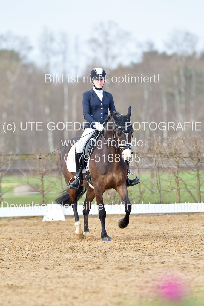 Reitsportzentrum Bremervörde | 10421 Dressur L Tr_168 