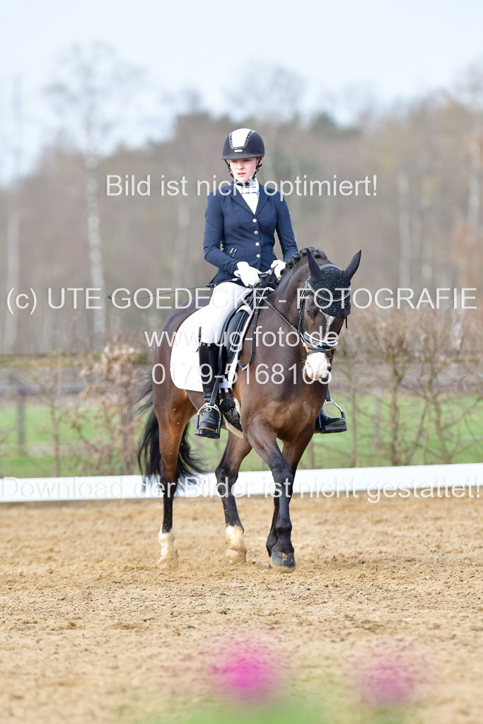 Reitsportzentrum Bremervörde | 10421 Dressur L Tr_169