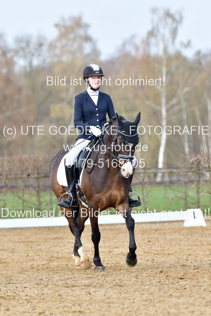 Reitsportzentrum Bremervörde | 10421 Dressur L Tr_170 