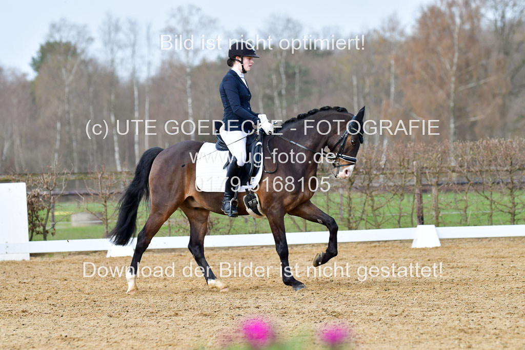 Reitsportzentrum Bremervörde | 10421 Dressur L Tr_172