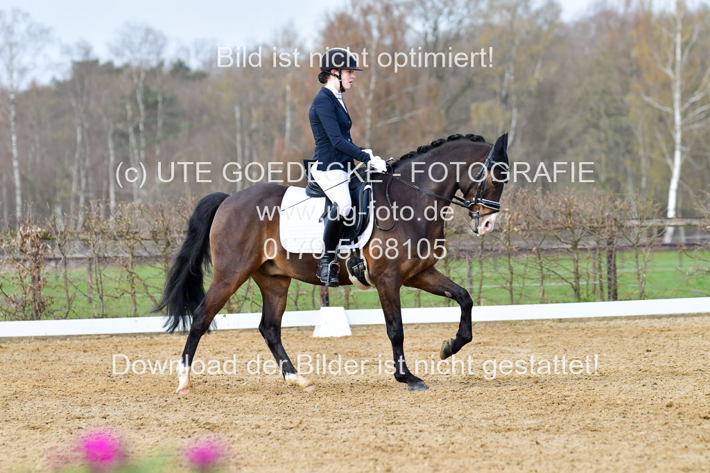 Reitsportzentrum Bremervörde | 10421 Dressur L Tr_174