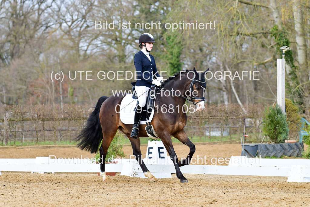 Reitsportzentrum Bremervörde | 10421 Dressur L Tr_176