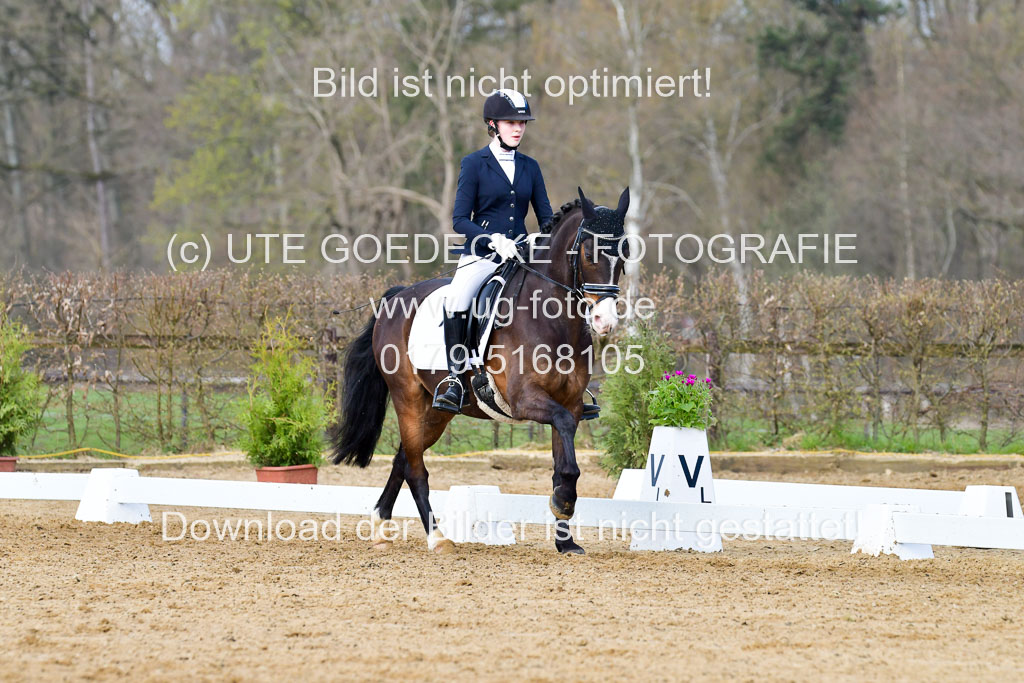 Reitsportzentrum Bremervörde | 10421 Dressur L Tr_179