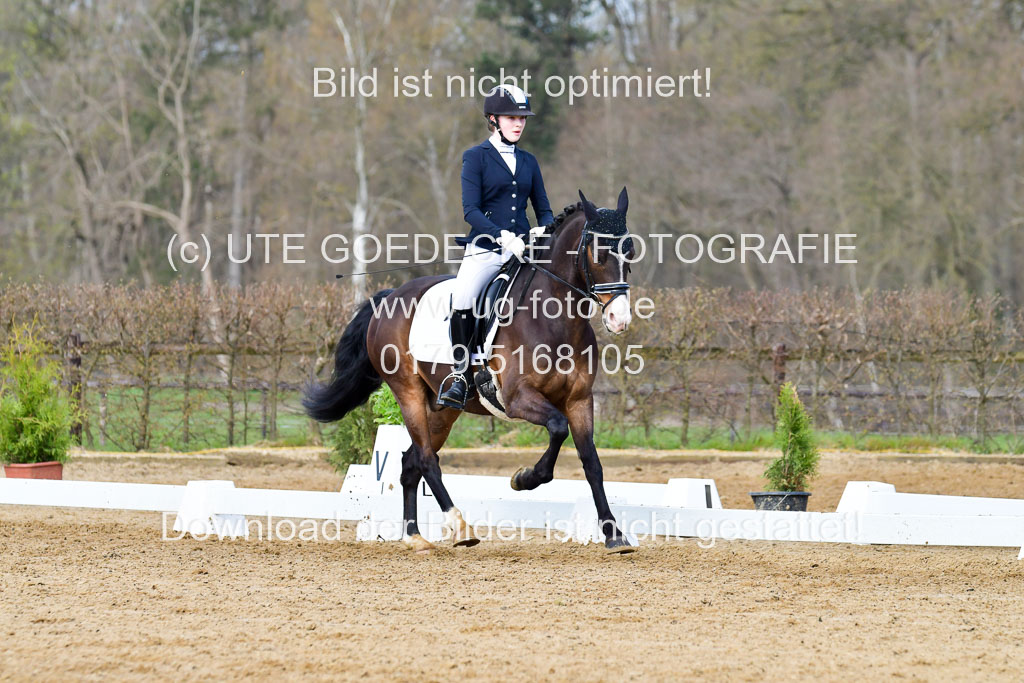 Reitsportzentrum Bremervörde | 10421 Dressur L Tr_180 