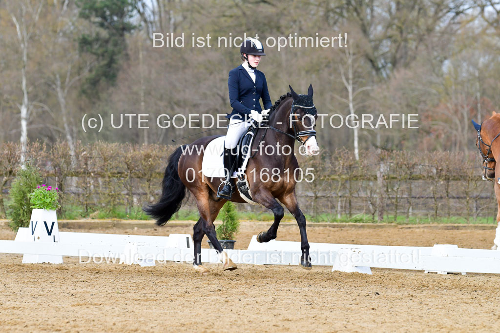 Reitsportzentrum Bremervörde | 10421 Dressur L Tr_181 