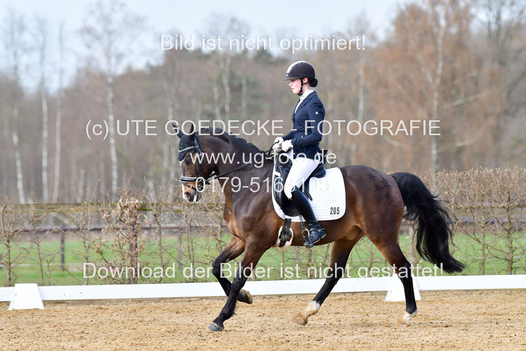 Reitsportzentrum Bremervörde | 10421 Dressur L Tr_182 