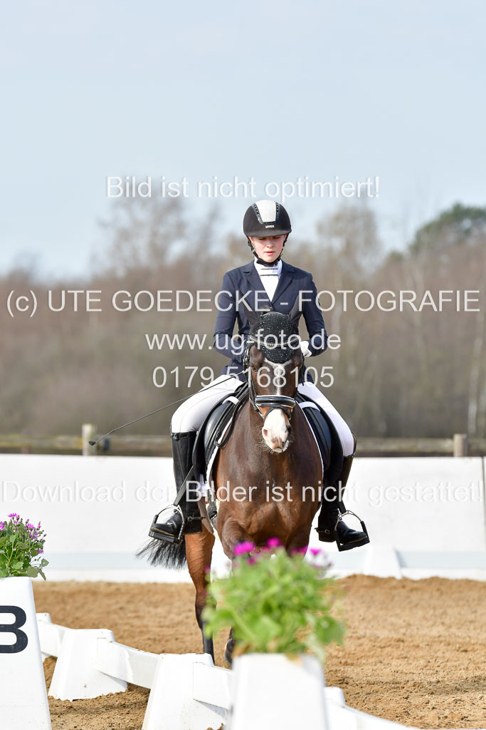 Reitsportzentrum Bremervörde | 10421 Dressur L Tr_183 