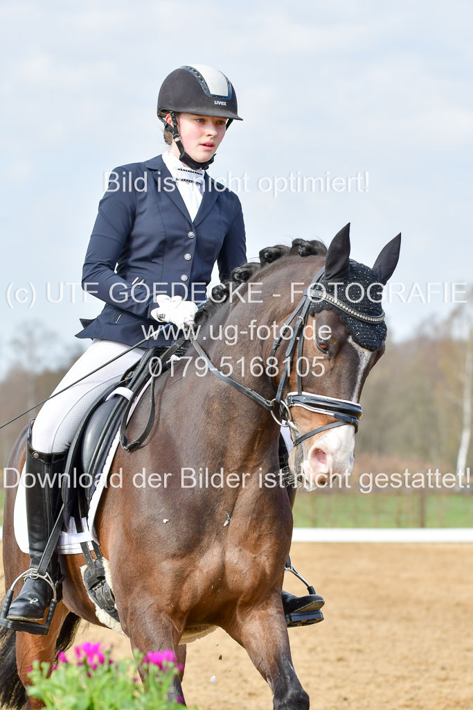 Reitsportzentrum Bremervörde | 10421 Dressur L Tr_184