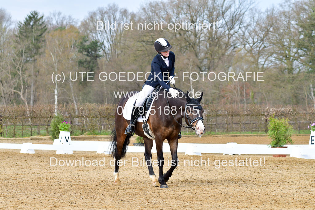 Reitsportzentrum Bremervörde | 10421 Dressur L Tr_190 