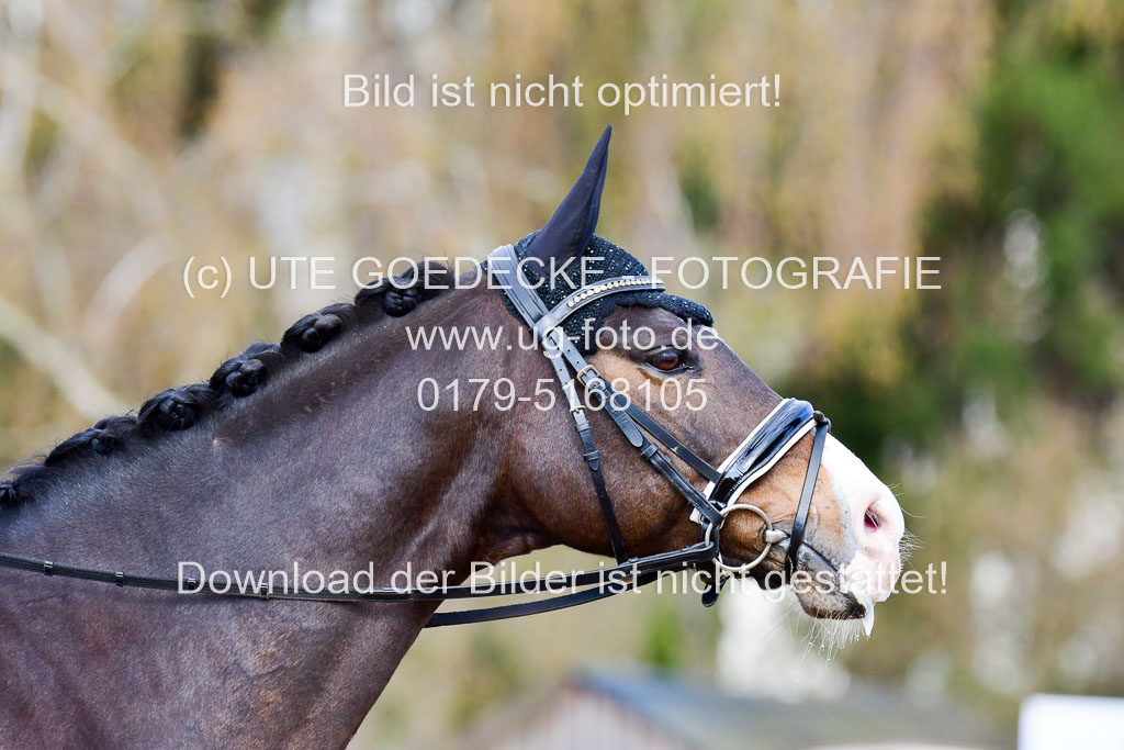 Reitsportzentrum Bremervörde | 10421 Dressur L Tr_191