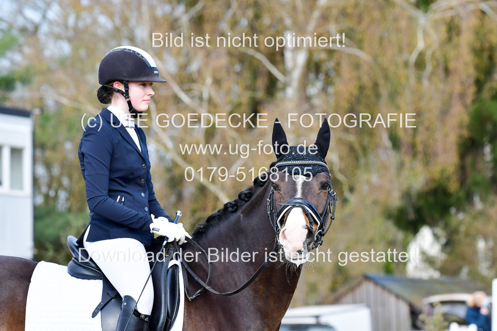 Reitsportzentrum Bremervörde | 10421 Dressur L Tr_192 