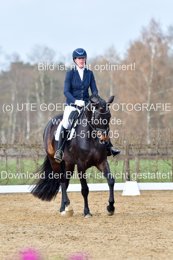 Reitsportzentrum Bremervörde | 10421 Dressur L Tr_194