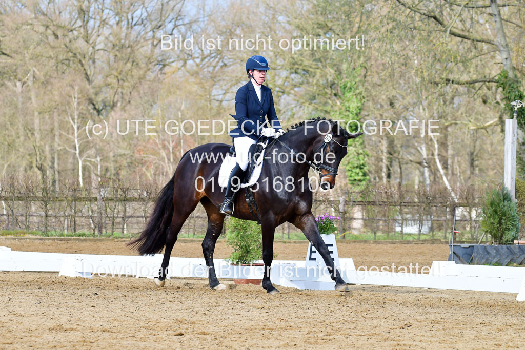 Reitsportzentrum Bremervörde | 10421 Dressur L Tr_197 