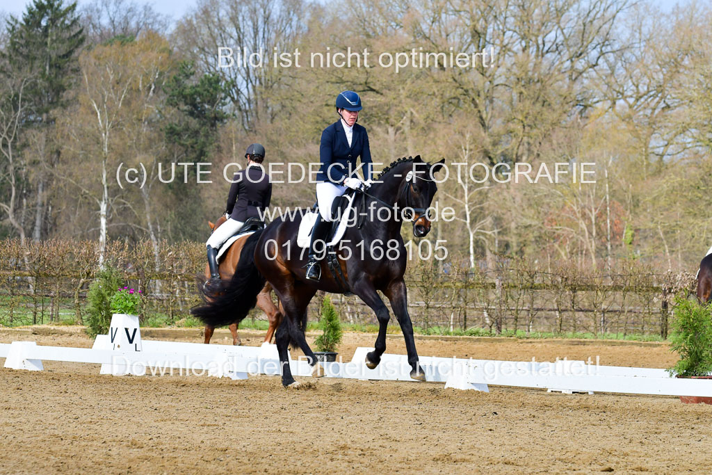 Reitsportzentrum Bremervörde | 10421 Dressur L Tr_202