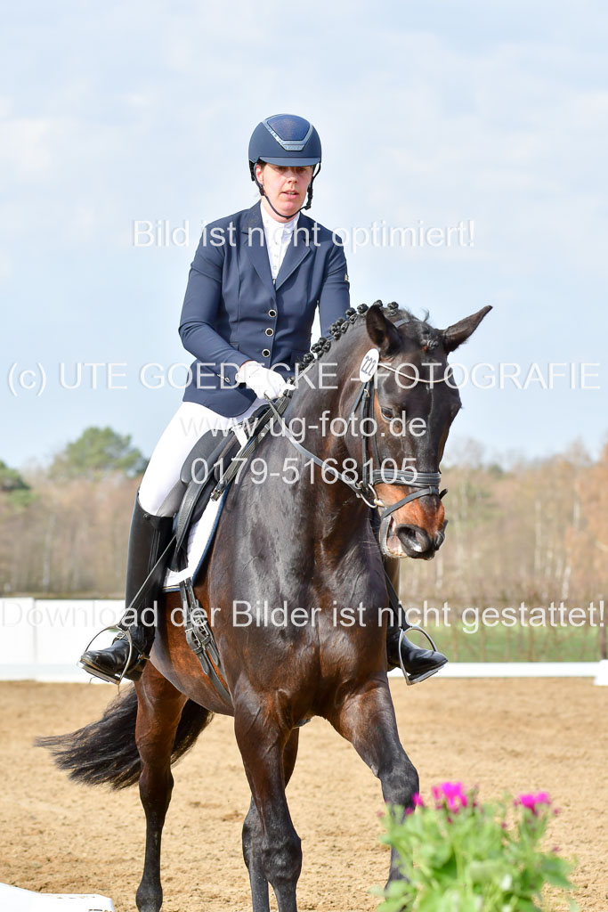 Reitsportzentrum Bremervörde | 10421 Dressur L Tr_204 