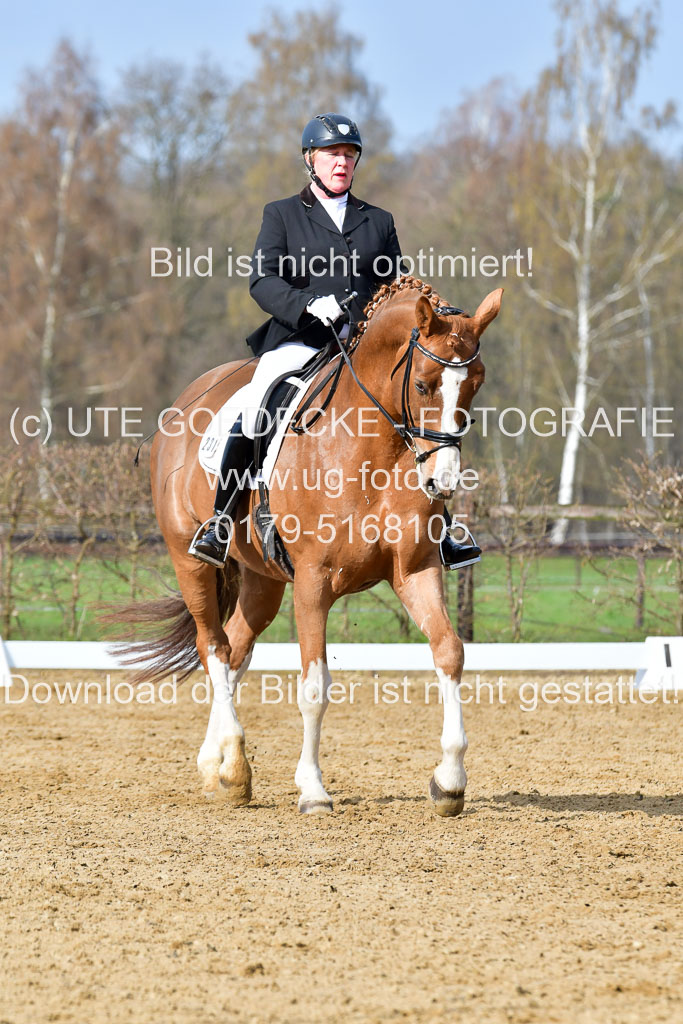 Reitsportzentrum Bremervörde | 10421 Dressur L Tr_208 