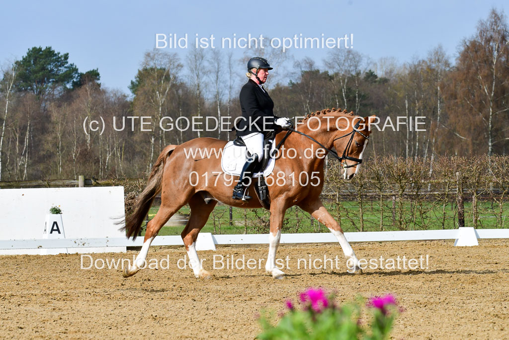 Reitsportzentrum Bremervörde | 10421 Dressur L Tr_212