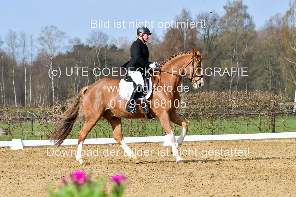 Reitsportzentrum Bremervörde | 10421 Dressur L Tr_213 
