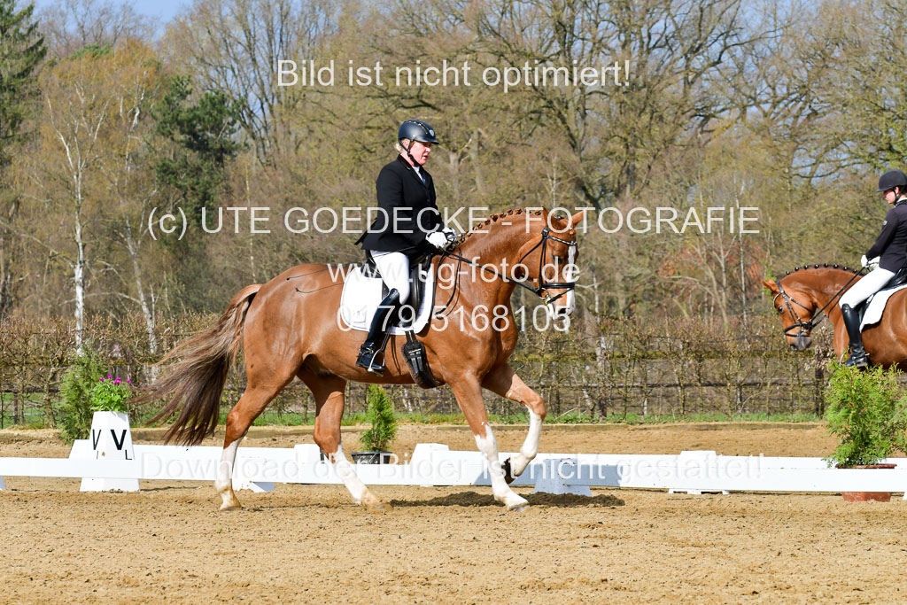 Reitsportzentrum Bremervörde | 10421 Dressur L Tr_214 