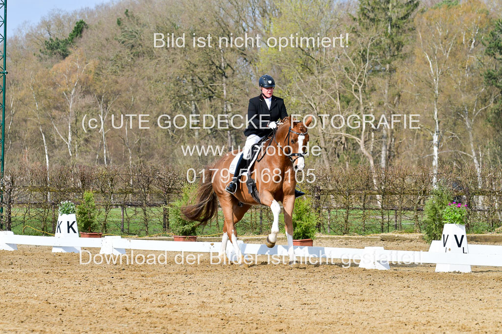 Reitsportzentrum Bremervörde | 10421 Dressur L Tr_215