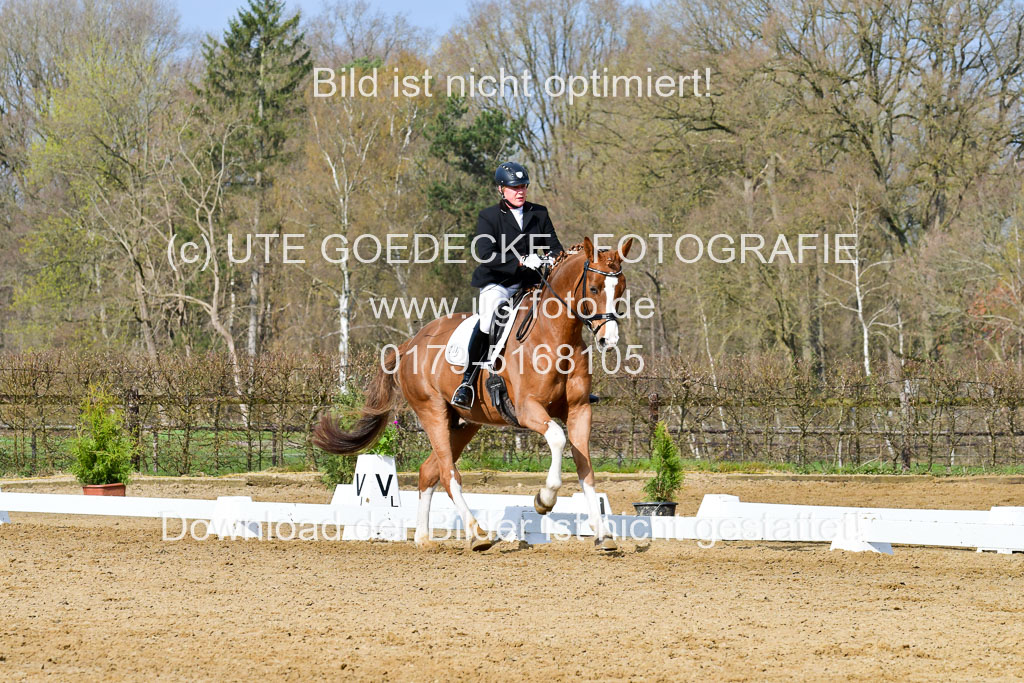 Reitsportzentrum Bremervörde | 10421 Dressur L Tr_216