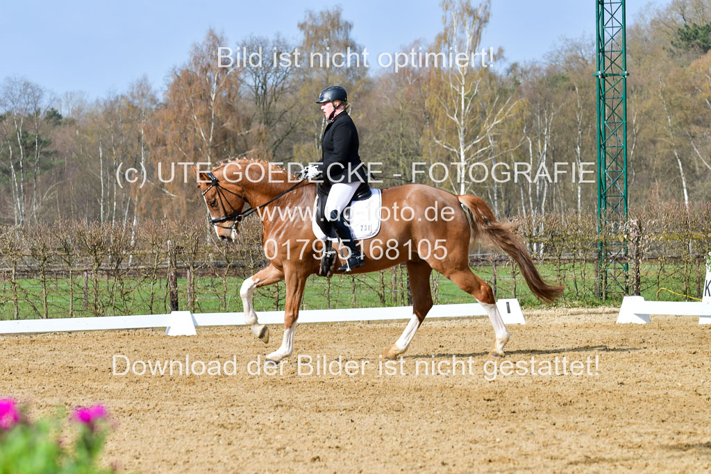 Reitsportzentrum Bremervörde | 10421 Dressur L Tr_218