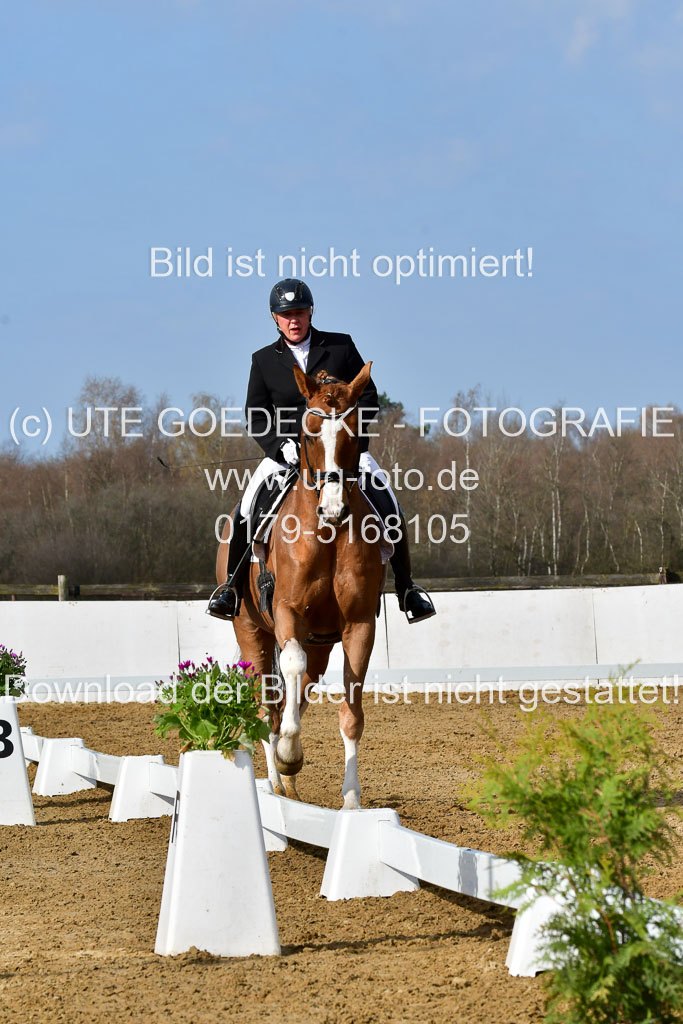 Reitsportzentrum Bremervörde | 10421 Dressur L Tr_219