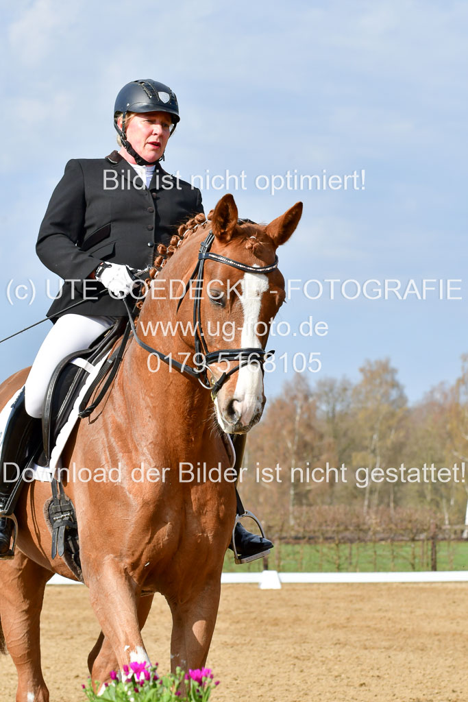 Reitsportzentrum Bremervörde | 10421 Dressur L Tr_220