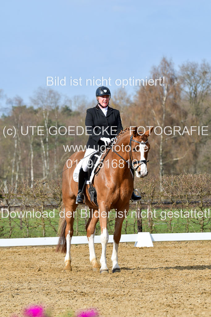 Reitsportzentrum Bremervörde | 10421 Dressur L Tr_221 