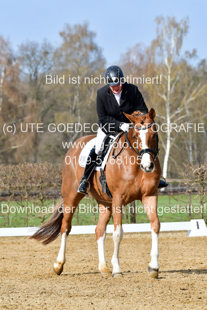 Reitsportzentrum Bremervörde | 10421 Dressur L Tr_222