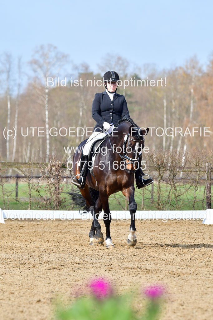 Reitsportzentrum Bremervörde | 10421 Dressur L Tr_224