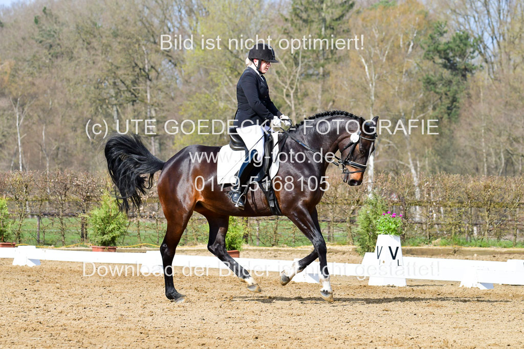Reitsportzentrum Bremervörde | 10421 Dressur L Tr_225