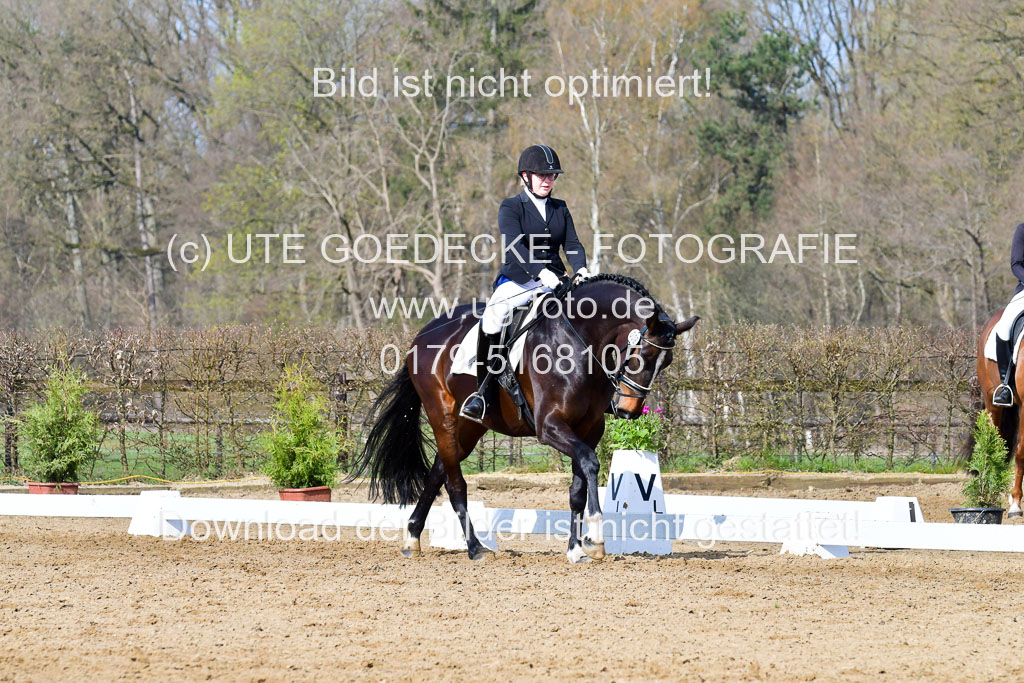 Reitsportzentrum Bremervörde | 10421 Dressur L Tr_226