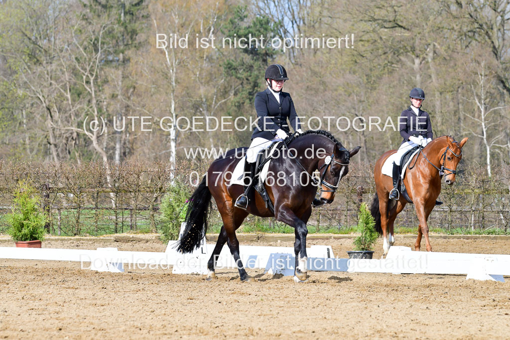 Reitsportzentrum Bremervörde | 10421 Dressur L Tr_227