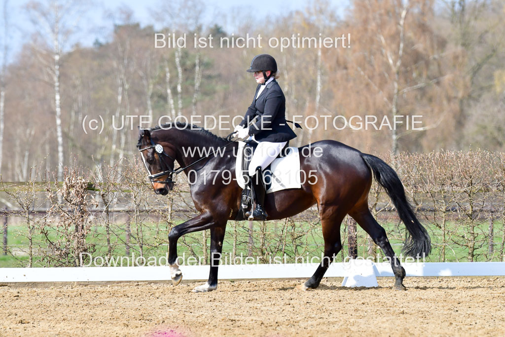 Reitsportzentrum Bremervörde | 10421 Dressur L Tr_229