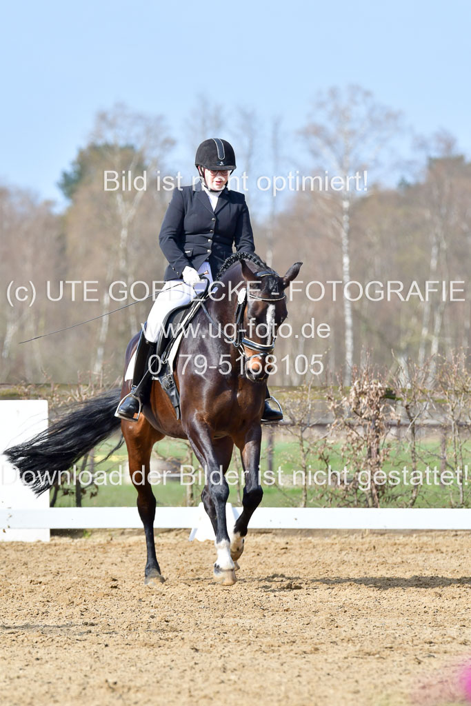 Reitsportzentrum Bremervörde | 10421 Dressur L Tr_230