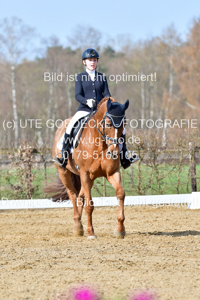 Reitsportzentrum Bremervörde | 10421 Dressur L Tr_231 