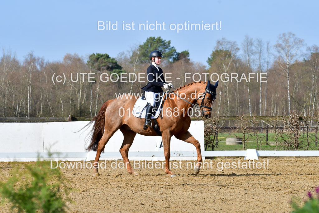 Reitsportzentrum Bremervörde | 10421 Dressur L Tr_233 