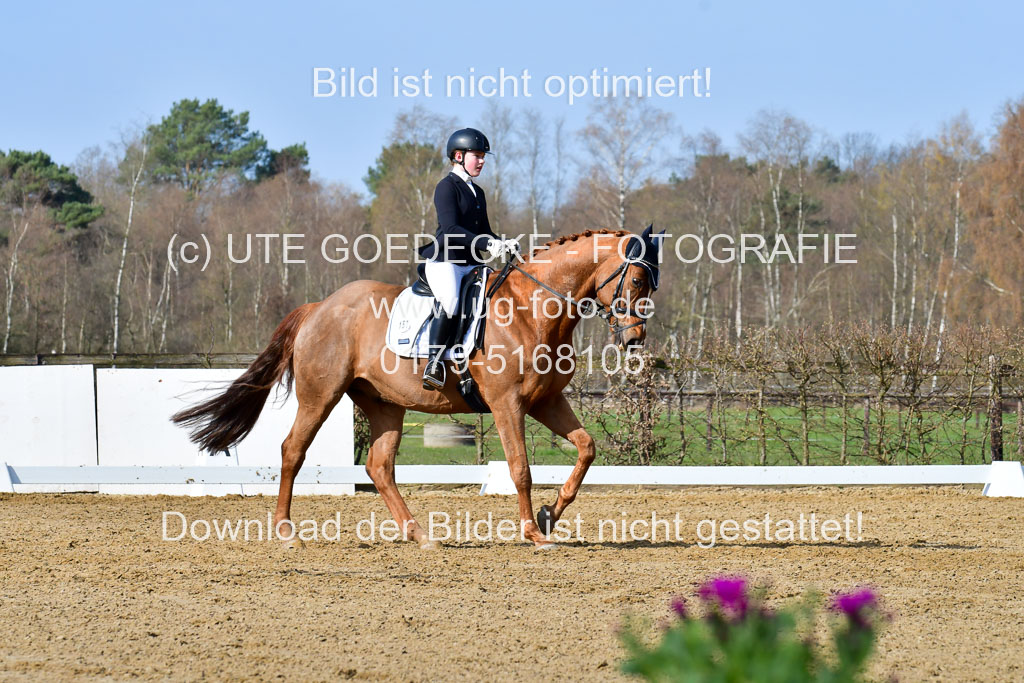 Reitsportzentrum Bremervörde | 10421 Dressur L Tr_234 